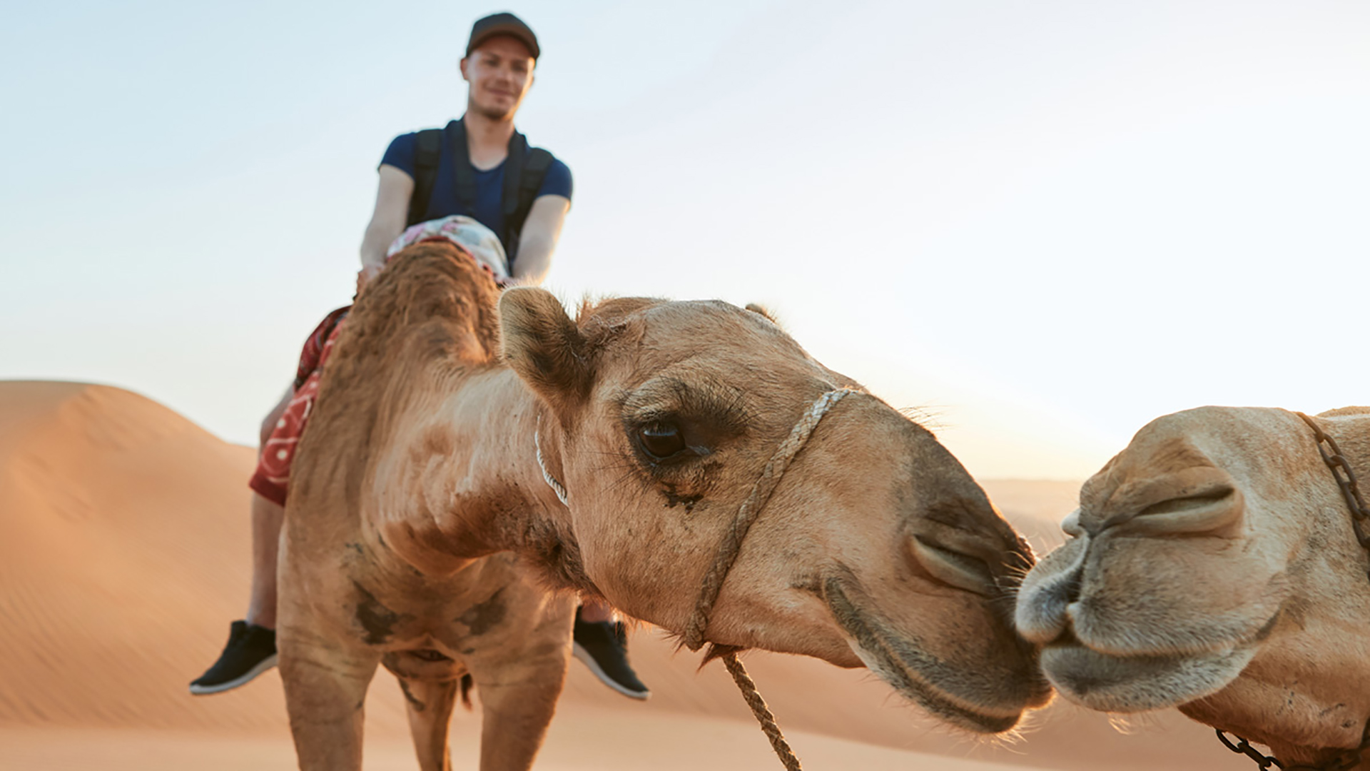 Morning desert safari with private beach and pool access in Dubai